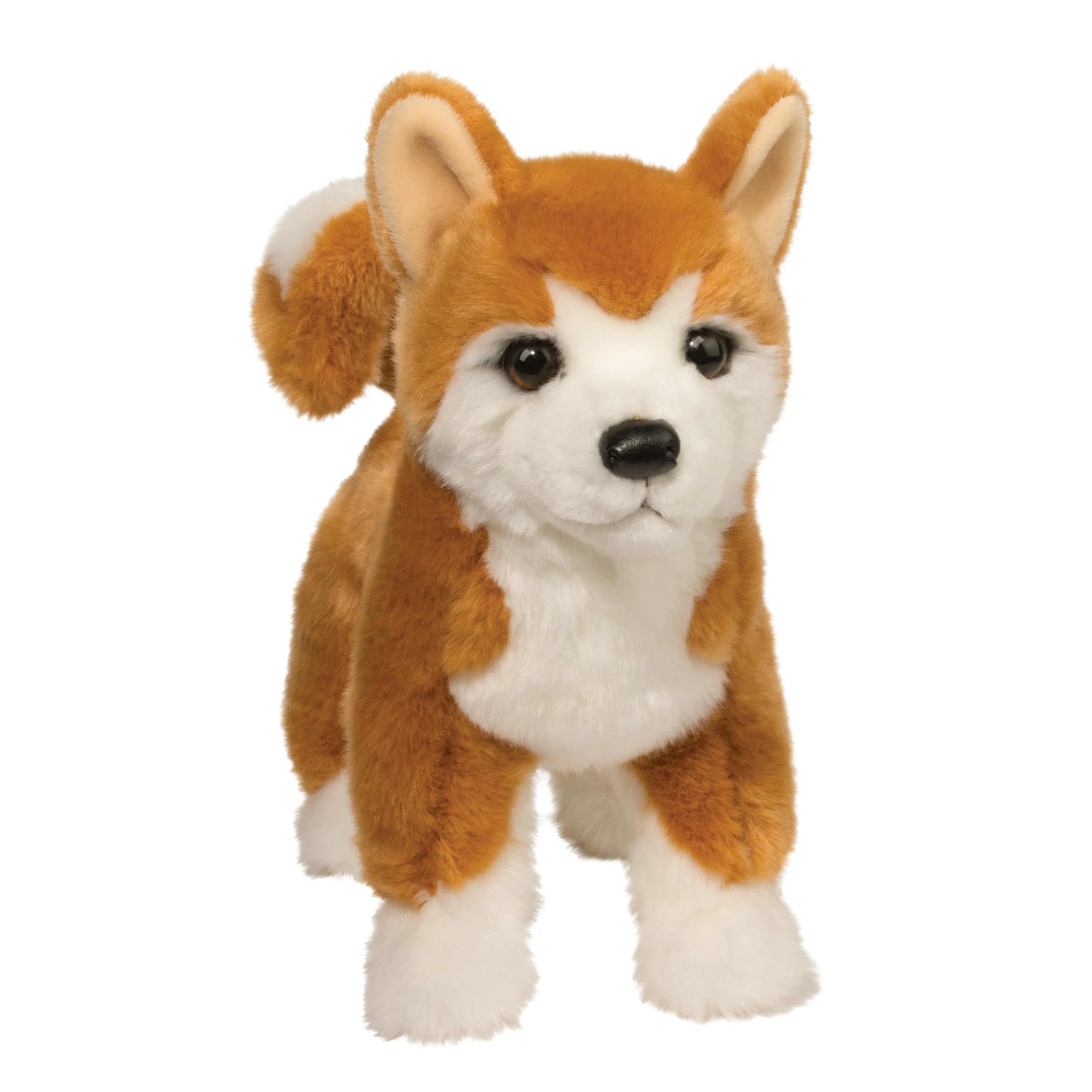 Douglas Dunham Shiba Inu 16"